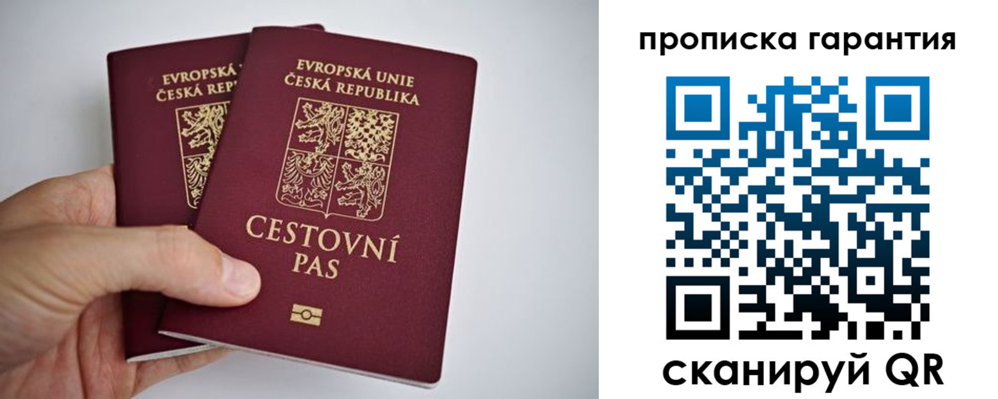 прописка в Котельниче